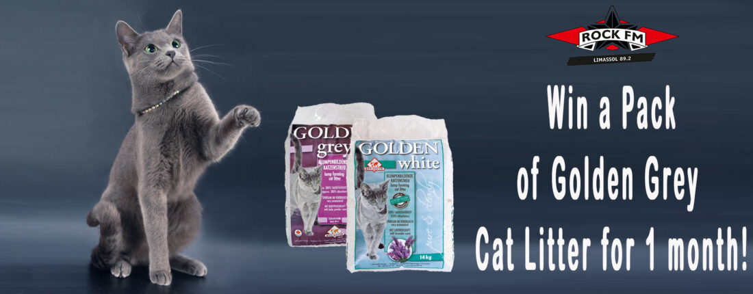 GOLDEN grey CAT litter – Competition